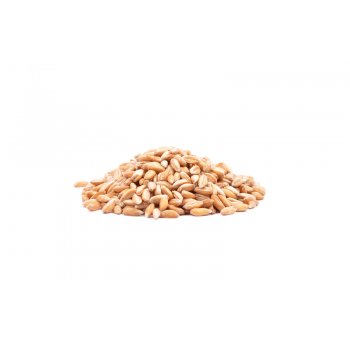 Spelt Grains Bulk Buy BioSuisse, 5kg