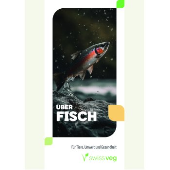 Faltblatt: Über Fisch