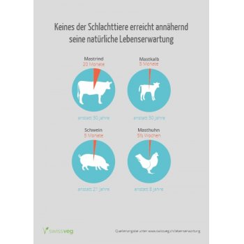 Postkarte: «Lebenserwartung Nutztier»