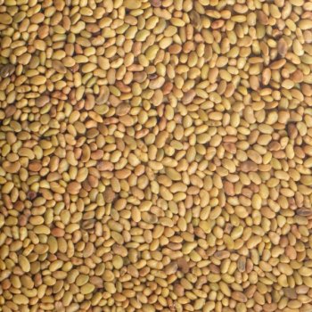 Keimsaat Alfalfa Beutel Bio, 150 g