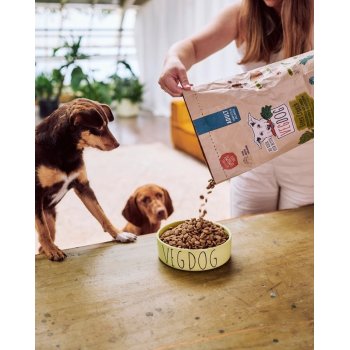 Dog Dry Food Vegan Green Crunch, 10kg