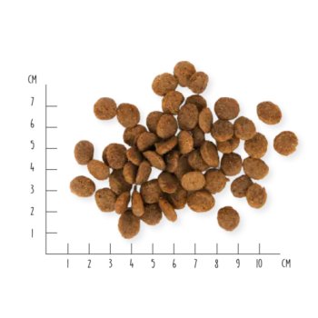 Dog Dry Food Vegan Farmer's Crunch, 2kg