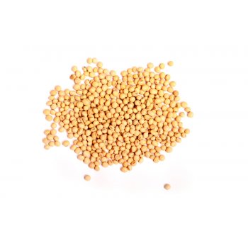 Soybeans Unhulled Bulk Buy Organic, 5kg