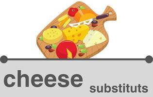 Cheese alternatives, Vegan Cheese