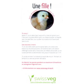 Flyer: Oeuf Une fille!