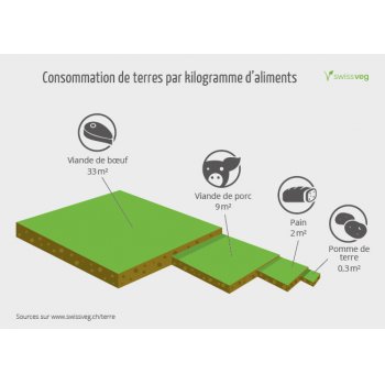 Carte: Consommation de terres par kilogramme d'aliments