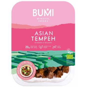 Tempeh Bumi Asian Tempeh made from Lupin Beans, Organic, 175g