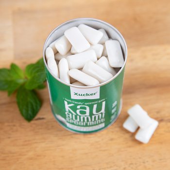 Xylitol Chewing Gum Menthe Verte, 100g