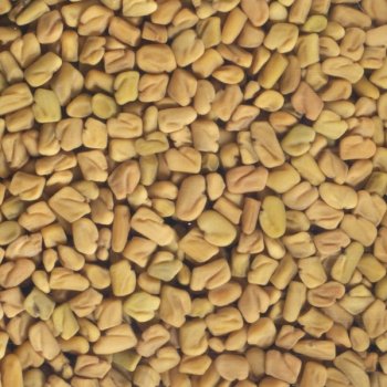 *DISCOUNT: BBD 31.10.25* Sprouted Seeds Fenugreek Organic, 150g