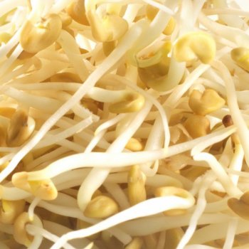 *DISCOUNT: BBD 31.10.25* Sprouted Seeds Fenugreek Organic, 150g