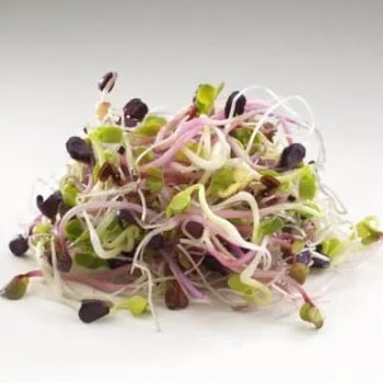 Graines à germer Mix 4 Radis Bio, 150g