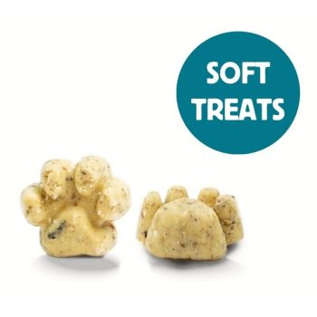 *DISCOUNT: BBD 21.11.25* Playful Pup! Wellness Dog Treats, 100g