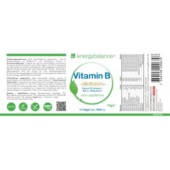 Vitamin B Complex plus Bio Vitamin C & Magnesium, 90 VegeCaps