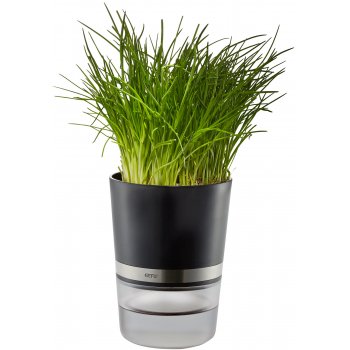 Herb Pot with Watering System BOTANICO Ø 14,2 cm, H 18,5 cm